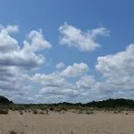 Veneta *